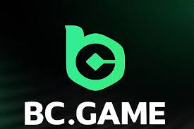 Understanding BC Game.vc KYC Your Guide to Secure Gaming